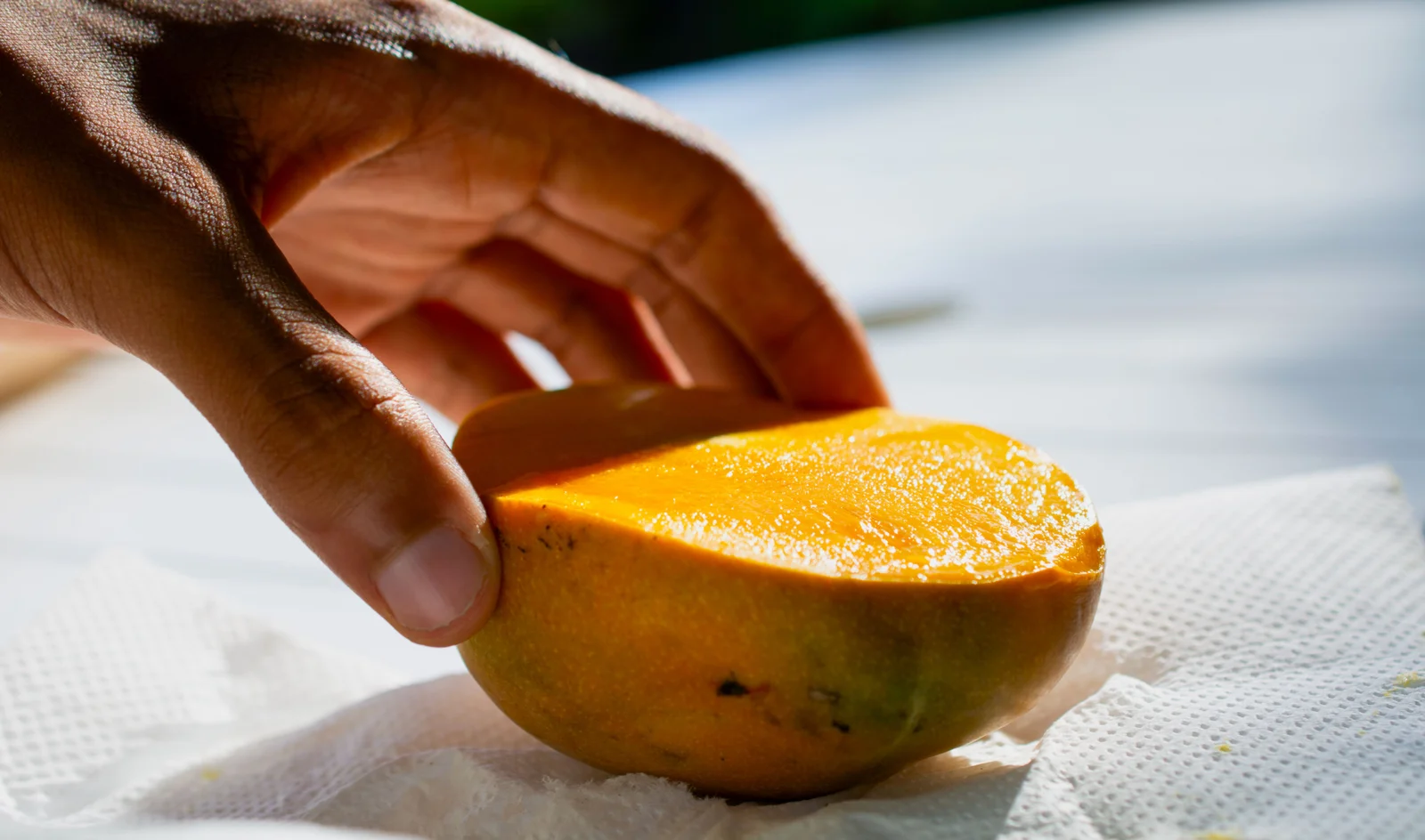 A hand holding a freshly cut mango.