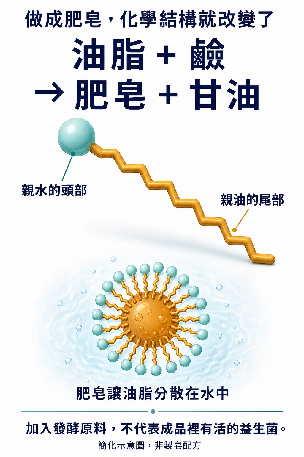肥皂分子有親水的頭部與親油的尾部；包住油滴時，頭部朝向水、尾部朝向油脂。