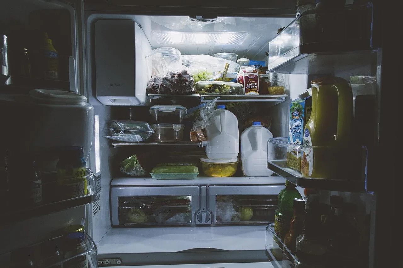 Food containers stored on refrigerator shelves