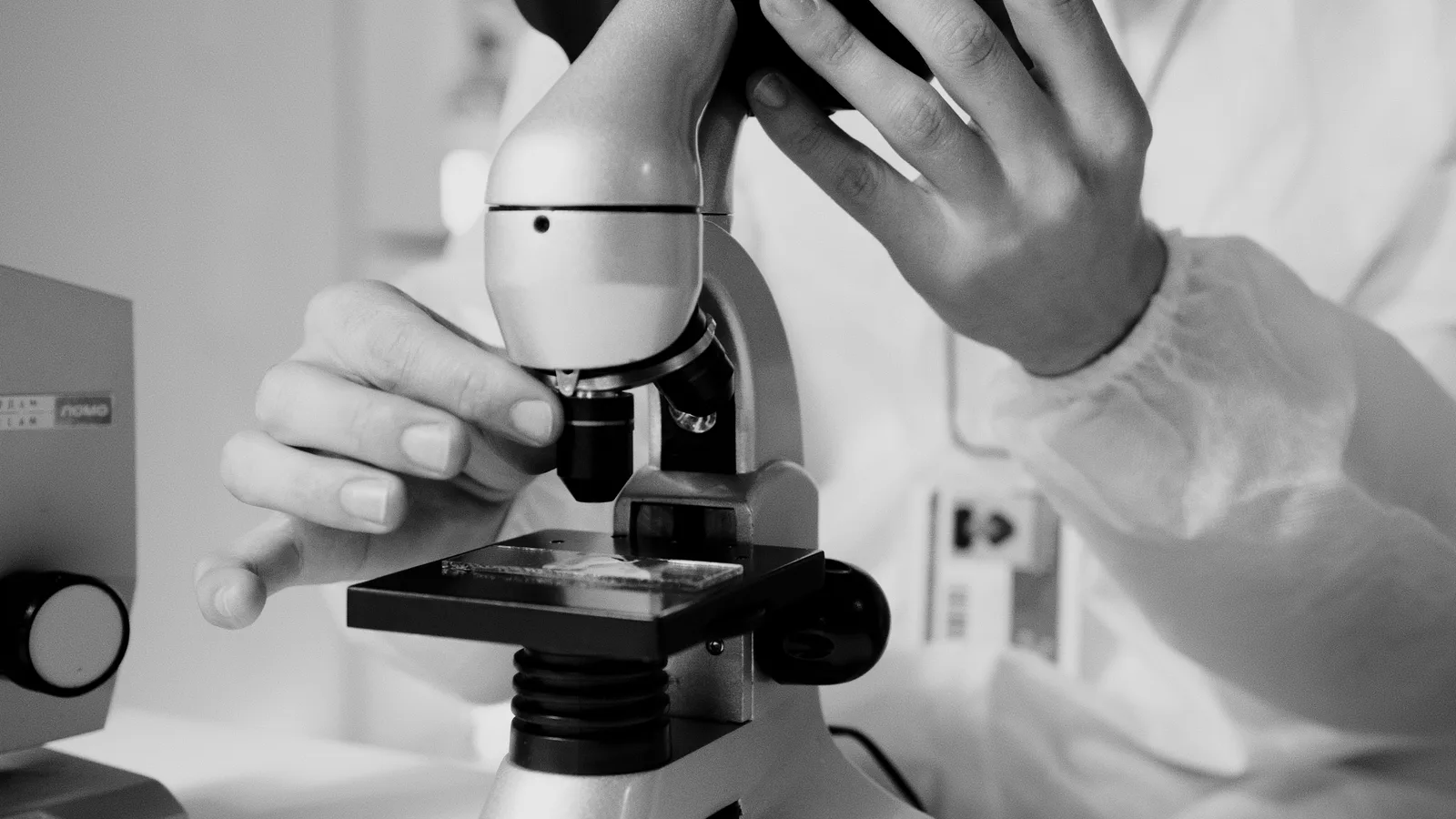 A microscope used to study fermentation